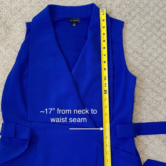 The Limited Blue Belted Dress - Picture 14 of 15